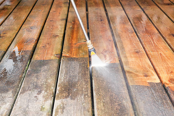 Animal Enclosure Cleaning in Rushford, MN